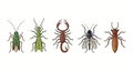 Illustration of Various Insects and Arthropods Displayed Against a White Background Royalty Free Stock Photo