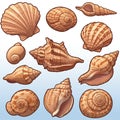 Illustration of various seashells featuring diverse shapes and patterns. Shells are Royalty Free Stock Photo