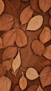 illustration of various-sized, brown leaves with veins arranged together