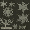 Illustration of various snowflake structures against a dark background. Each Royalty Free Stock Photo