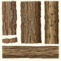 Illustration of various tree barks, depicted in detailed sections. The bark textures Royalty Free Stock Photo