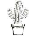 Illustration vase with a cactus in art line