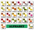 vector alphabet english fruit and vegetable berry alphabet