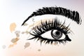 Illustration vector of beautiful eye makeup and brow