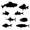 Illustration vector of different kinds of Fish