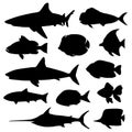 Illustration vector of different kinds of Fish Silhouette.