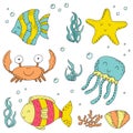 Illustration Vector doodle set of elements of marine life. Underwater World collection. Icons and symbols hand drawing sketch Royalty Free Stock Photo