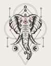 Illustration vector elephant head tribal style Royalty Free Stock Photo