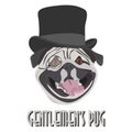 Illustration Vector Gentlemen`s Pug