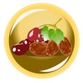 Illustration vector of grapes and raisin