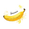 Illustration vector graphic of banana with watercolor texture