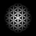 Black White Flower Of Life Mandala Pattern. Royalty Free Stock Photo