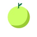 Illustration Vector Graphic of Green Apple