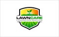 Illustration vector graphic of lawn care, landscape, grass concept logo design template