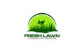 Illustration vector graphic of lawn care, landscape, grass concept logo design template-01 Royalty Free Stock Photo