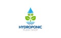 Illustration vector graphic of modern hydroponic farm with natural green leaf concept logo design Royalty Free Stock Photo