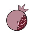 Illustration vector graphic of pomegranate with round shapes Royalty Free Stock Photo