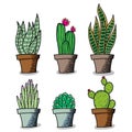 Illustration vector graphic of set pack cactus and suculent flowers