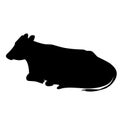 Illustration vector graphic, silhouette of cow sitting