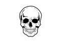 Illustration Vector Graphic Skull Pirate