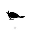 Coot silhouette logo Royalty Free Stock Photo