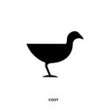 Coot silhouette logo Royalty Free Stock Photo