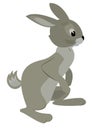 Illustration of vector gray rabbit