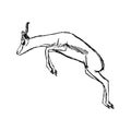 Illustration vector hand draw doodles of gazelle jumping isolate