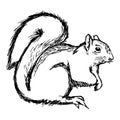 Illustration vector hand draw doodles of squirrel isolated on wh Royalty Free Stock Photo