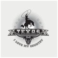 Illustration vector of logo texas country