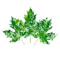 Illustration of vector maple leaf in grunge style Royalty Free Stock Photo