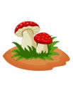 Vector mushroom on white background