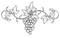 Vector ornament with the vine