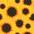 Illustration Vector Seamless Pattern Flower Sunflower Royalty Free Stock Photo