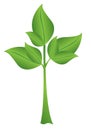 Illustration vector - small green plant