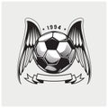 Illustration vector of soccer ball