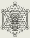 Illustration vector spider ornament style with sacred geometry