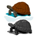 Illustration of Vector Tortoises,Woodblock Style