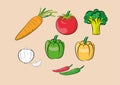 Illustration of vegetable ingredients set