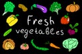 Colored illustration of fresh vegetables on a black background