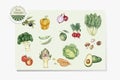 Illustration of veggies drawing style Royalty Free Stock Photo