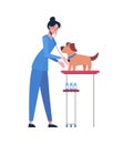 Illustration with a veterinarian who takes care of the dog. Vector in flat style isolated on white background. Vet Royalty Free Stock Photo