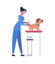 Illustration with a veterinarian who vaccinates a dog. Vaccination of pets. Vector in flat style isolated on white Royalty Free Stock Photo