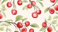 Acerola Watercolour Pattern: Large Scale Mural With Cherries And Leaves