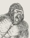 illustration vintage gorilla engraving style