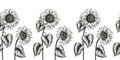 Vintage sunflowers seamless border, black and white wildflowers decorative illustration, sunflower ink art, black floral sketch