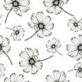 Vintage wildflowers seamless pattern, hand drawn ink floral illustration with monochrome cosmos flower, black and white botanical Royalty Free Stock Photo