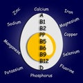 illustration -Vitamins in boiled egg ÃÂ,Ãâ1,Ãâ2,PP,Ãâ5,Ãâ6,Ãâ9,Ãâ12,D,Ãâ¢,ÃÅ¡. Trace elements - Potassium, Calcium, Iron, Sodium, Ma