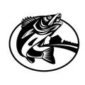 Walleye Fish Jumping Up With Lake Cabin Oval Retro Black and White Royalty Free Stock Photo