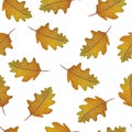 Watercolor autumn oak leaves seamless pattern, autumn seamless background with oak leaves, watercolor fall leaves illustration Royalty Free Stock Photo